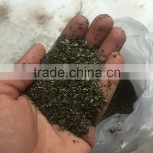 Darjeeling Broken Fannings Green Tea - Directly From Darjeeling Based Exporter thumbnail-1