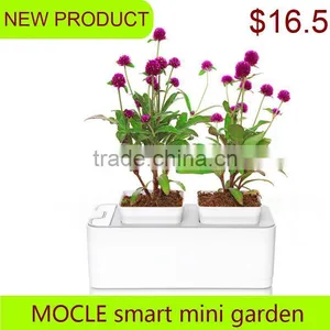 Tall Modern Acrylic Flower Vases thumbnail-1
