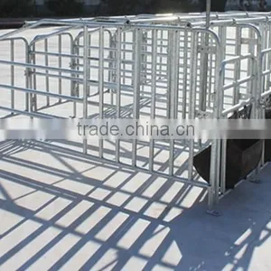 Poultry Farm Machinery Gestation Crates Stalls For Pigs thumbnail-1