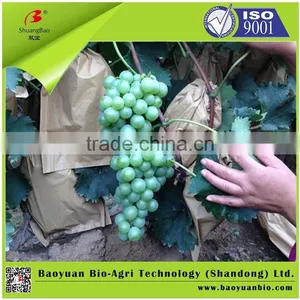 Organic And Inorganic Fertilizer 14-6-10 For Fruit Trees thumbnail-3