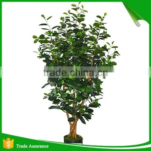 Top Quality Artificial Money Tree for Decoration thumbnail-2