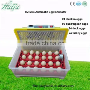 CE Certificate High Quality 24 Chicken Egg Incubator Used Home HJ-M24 thumbnail-1