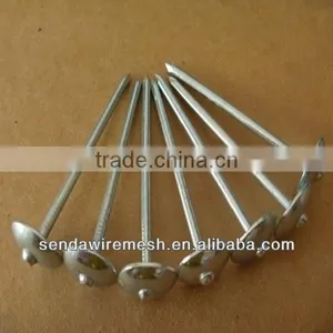 Umbrella Head Roofing Nails thumbnail-1