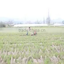 Zhejiang E-Shine Machinery Manufacturing Co., Ltd. company overview - view 4 thumbnail