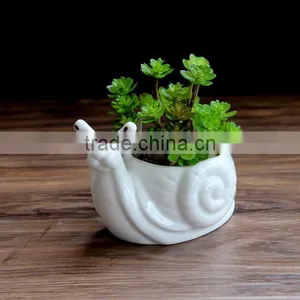 New Style Creative Cute Animal Shape Ceramic Flower Pots for Succulents With Hole thumbnail-3
