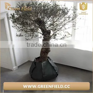 2017 Eco-friendly Gardening Planter Bag Grow Bag thumbnail-3