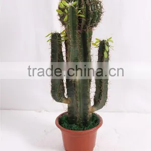 SJ3001106 Plastic Cactus Indoor Outdoor Potted Plant Tree thumbnail-4