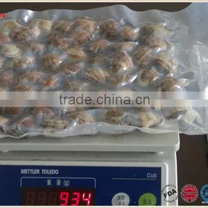 Vacuum -packed Short Necked Clam thumbnail-2