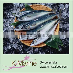 Whole Round Seafood Frozen Fish Lot Number#kmw4023 thumbnail-1
