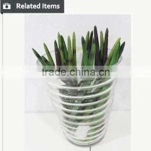 Manufacturing Maguey Garden Decoration Indoor Decoration Handmade Plant for Sale thumbnail-5