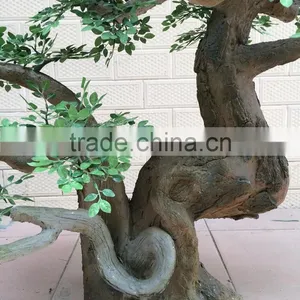 Artificial Ficus Tree, Artificial Bonsai, Arificial Plants thumbnail-3
