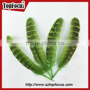 Reeves Cheap Natural Pheasant Tail Pheasant Feather for Sale thumbnail-4