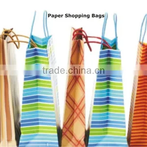 Shopping Paper Bags thumbnail-2