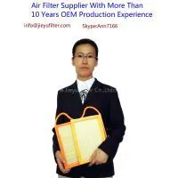 Air Filter Factory-China Air Filter Factory With More Than 10 Years OEM Production Experience thumbnail-1