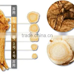 White Ginseng Slice From Changbaisha thumbnail-5