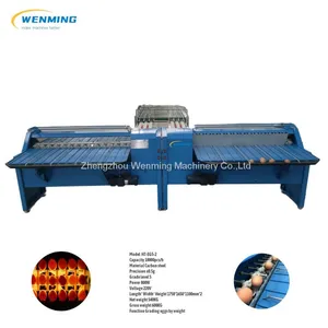 Egg Grading Machine Automaticr Egg Sorting Machine Egg Grader thumbnail-2