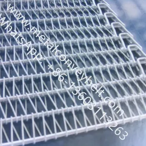 Flexible Rod Conveyor Belts thumbnail-3
