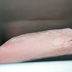 JR300 Frozen Meat Grinder thumbnail-3