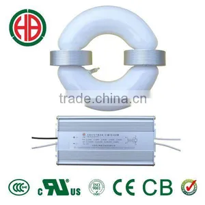 HB 40w 50w 60w 80w 100w R Induction Lamp 12v 24v Solar Lamp thumbnail-1