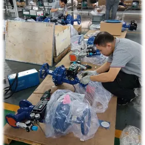 Cast Iron Globe Type Regulating Valve for Steam Flow Control thumbnail-4