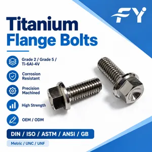 Titanium Screws and Fasteners Gr2 Gr5 Ti-6Al-4V Hex Socket Countersunk Button Head Custom Titanium Bolts thumbnail-1