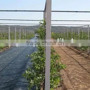 China Nonwoven Anti Weed Mat thumbnail-6