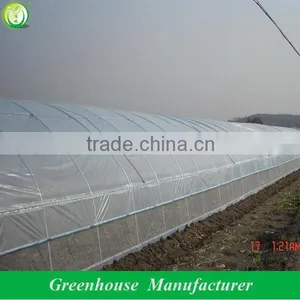 Galvanized Steel Pipe Economical Tunnel Greenhouse thumbnail-3