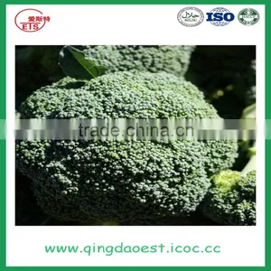 High Quality Chinese Fresh Broccoli thumbnail-5