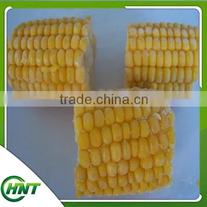 Frozen Iqf Sweet Corn Kernels thumbnail-6