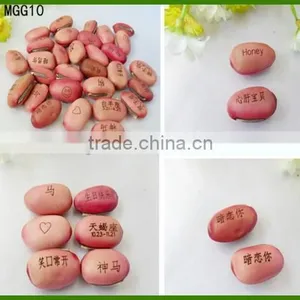Magic Bean, Wishes Seeds, Engraved Bean thumbnail-1