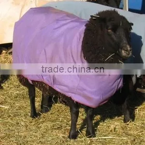 Breathable Sheep Coat thumbnail-1