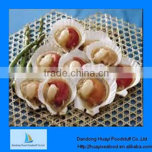 Frozen Scallop thumbnail-1