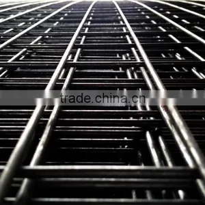 2x2 Galvanized Welded Wire Mesh Panel thumbnail-1