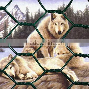 Best Quality Chicken Wire Cage Mesh 1/2-4 Inch thumbnail-4