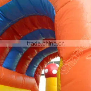 Bounce House Combos,Inflatable Combo for Kids,Baby Jumper thumbnail-4