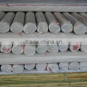 Bamboo Stake - Tonkin Cane thumbnail-1