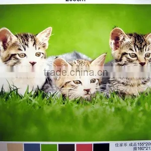 100% Polyester Material Printing Coral Fleece Blanket thumbnail-6