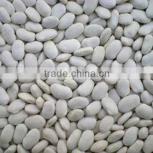 Red Kidney Beans thumbnail-2