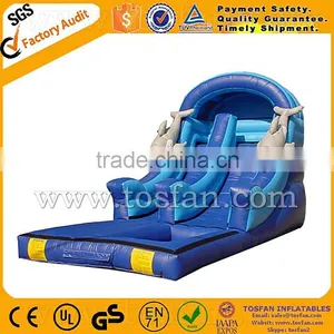 Years Professional Experience Inflatable Slide Manufacturer A4079 thumbnail-1