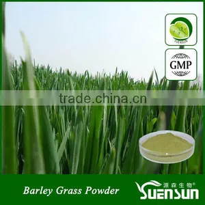 Herb Extract Barley Grass Extract Powder thumbnail-1