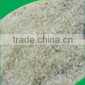 VIETNAM HIGH-QUALITY NEW-CROP SHORT GRAIN WHITE RICE thumbnail-1