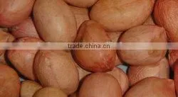 Java Peanuts Suppliers thumbnail-3