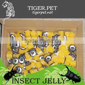 2015 New Products Assorted Mini Fruit Jelly thumbnail-4