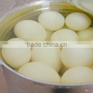 Canned Food (quail Eggs) thumbnail-1