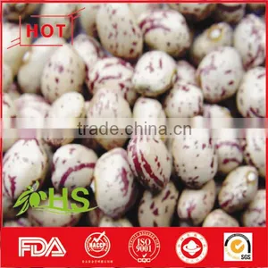 Light Coloured Speckled Kidney Beans for Sale thumbnail-1