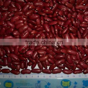 Kinds of Kidney Bean 2015 New Crop thumbnail-4