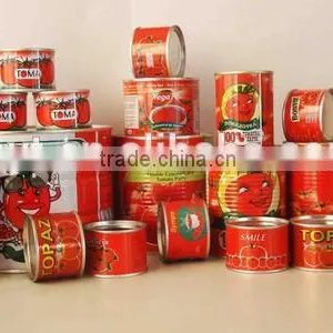 Aseptic 28-30% Tomato Paste thumbnail-5