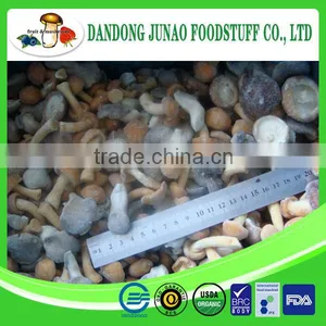 New Season Factory Wholesale Mixed Iqf Mushroom thumbnail-1