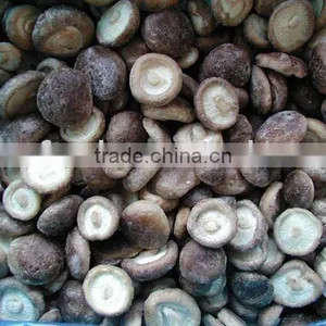 Whole & Quarter Iqf Shiitake Mushroom Greenhouse thumbnail-1
