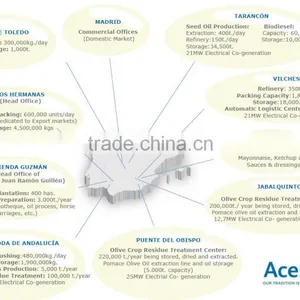 Acesur Spain Extra Virgin Olive Oil thumbnail-1